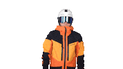 Winter Ski Sticker by sebastianzier