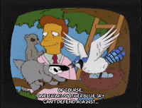 season 10 episode 3 GIF