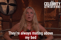 Imacelebrityau GIF by I'm A Celebrity... Get Me Out Of Here! Australia
