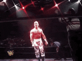 shawn michaels wrestling GIF by WWE