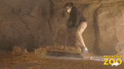 Brown Bear Reaction GIF by Brookfield Zoo