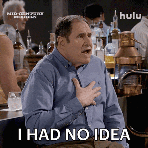 No Idea Mid Century Modern GIF by HULU