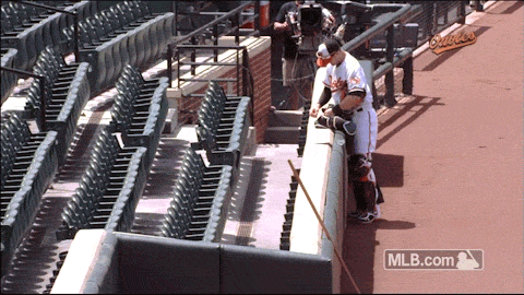 bal GIF by MLB