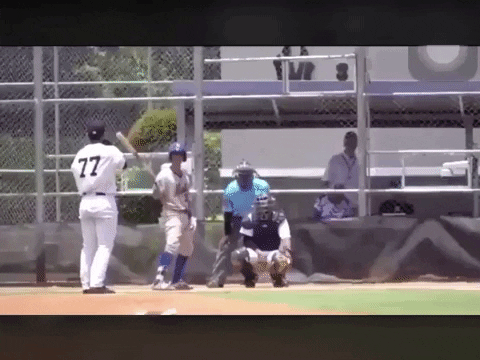 mattpepin giphygifmaker GIF