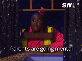 Saturday Night Live Snl GIF by Sky