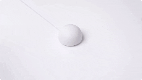 yj_jane giphyupload GIF