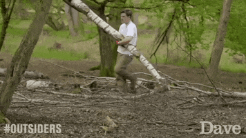 David Mitchell Outsiders GIF