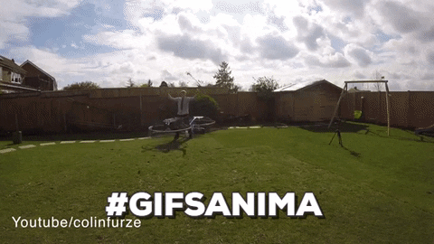 gifsanima giphygifmaker GIF