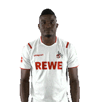Fc Cologne Bundesliga Sticker by 1. FC Köln