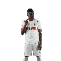 Fc Cologne Bundesliga Sticker by 1. FC Köln