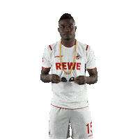 Fc Cologne Bundesliga Sticker by 1. FC Köln