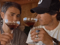The Vampire Diaries Cheers GIF