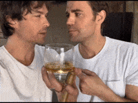The Vampire Diaries Brothers GIF
