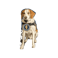 100 Club Fire Sticker by 100 Club of Illinois