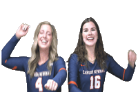 C-N Volleyball Sticker by Carson-Newman Athletics