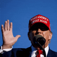 Make America Great Again Trump GIF by New 11