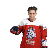 Celebration Hockey Sticker by Národní tým