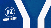 Head Coach Soccer GIF by Karlsruher SC