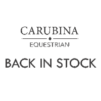 Back In Stock Sticker by Carubina