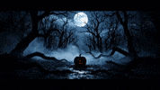 Trick Or Treat Halloween GIF