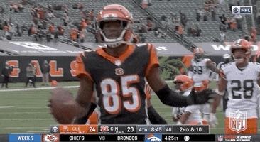 Regular Season Football GIF by NFL