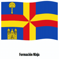 Flag Spain GIF by Formación Ninja