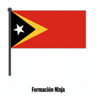 Timor-Leste Flag GIF by Formación Ninja
