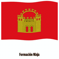 Flag Spain GIF by Formación Ninja