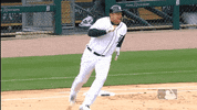 Major League Baseball Smile GIF by Detroit Tigers