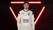 Ssv Ulm Vbl GIF by Bundesliga