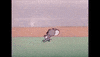 Tom And Jerry Nibbles GIF