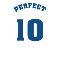 Bav Perfect Ten Sticker by Bina Artha