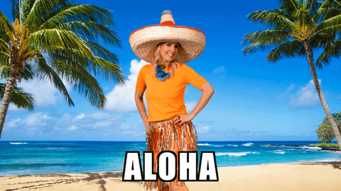 hawaii aloha GIF by Miss Cosmopola