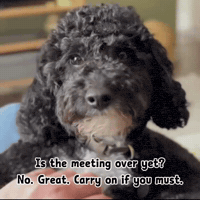 Tired One Second GIF