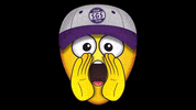 SGS-Essen sgs-essen GIF