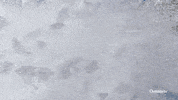 sport love GIF by Outside TV