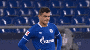 Sebastian Rudy Power GIF by FC Schalke 04