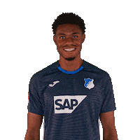 Sport Bundesliga Sticker by TSG Hoffenheim