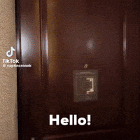 Alex Hello GIF