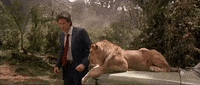 Wild Animals Movie GIF