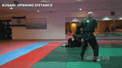 martial arts mma GIF by AKBAN Academy