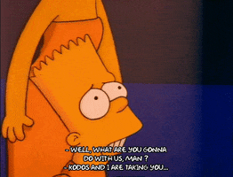 Season 2 Episode 3 GIF by The Simpsons