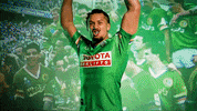 Rugby League Nrl GIF by Canberra Raiders