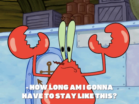 season 7 episode 22 GIF by SpongeBob SquarePants