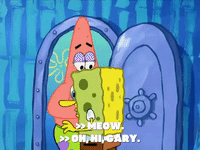 season 6 pet or pets GIF by SpongeBob SquarePants