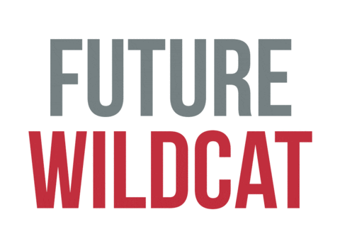 Iwuwildcats Sticker by Indiana Wesleyan Athletics