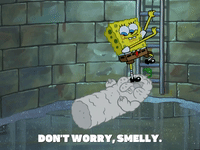 season 4 GIF by SpongeBob SquarePants