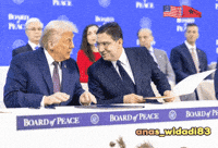 United States Trump GIF