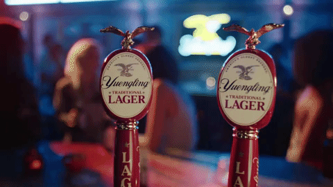 spreadyourwings unleashyourinnereagle GIF by Yuengling