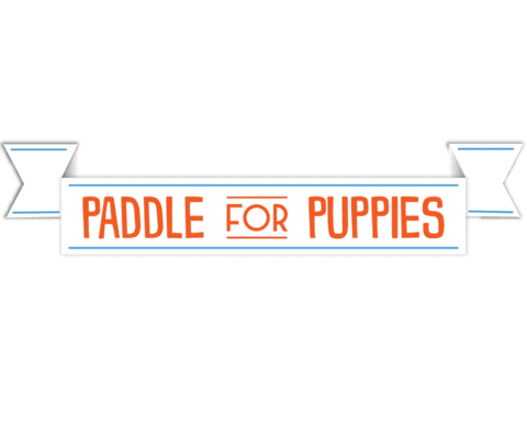 paddle paddleforpuppies Sticker by Austin Subaru